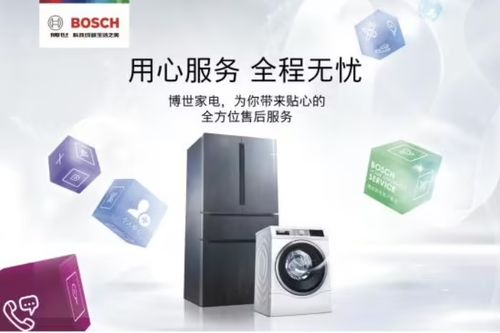 博世电器 欧洲家电市场的领军者与国际大牌典范